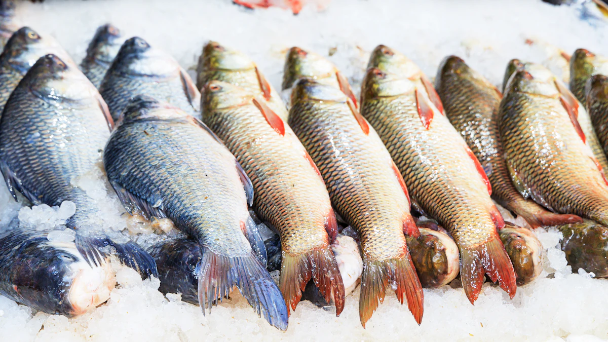 Fresh fish on ice