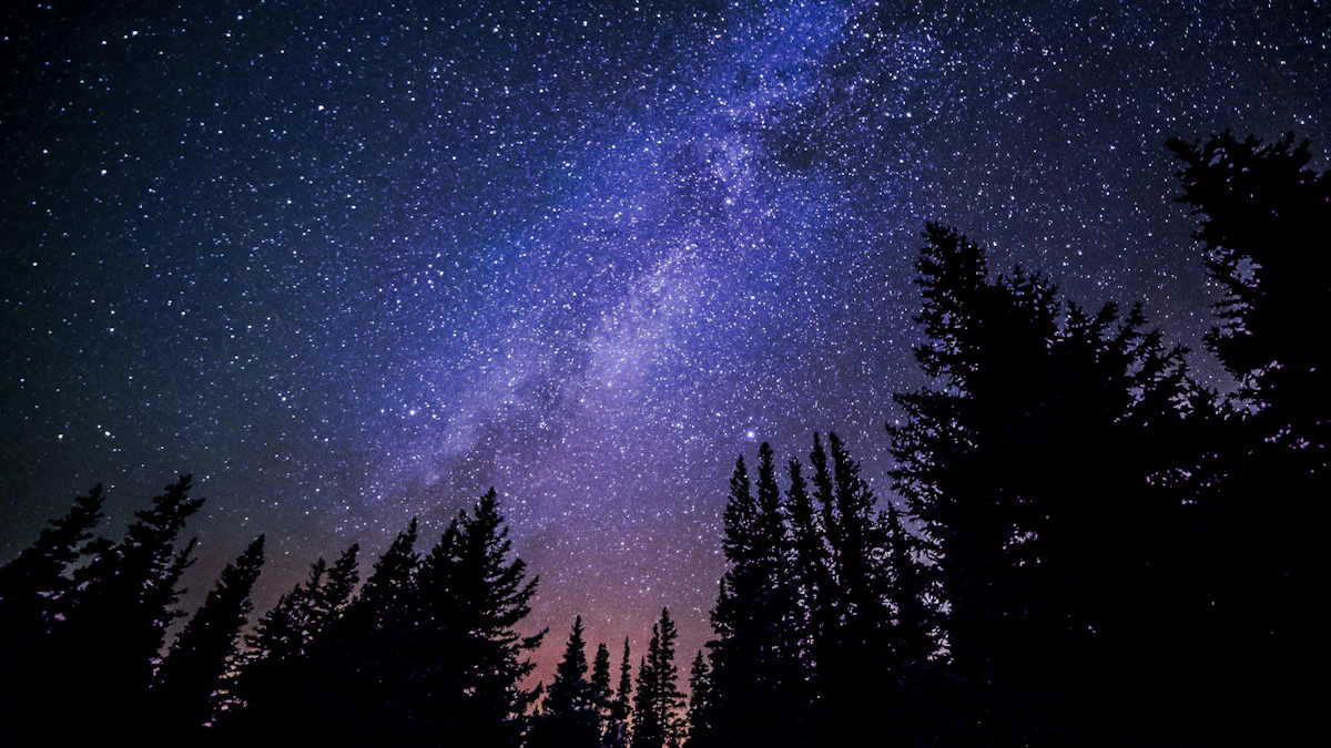 Starry night sky above the trees
