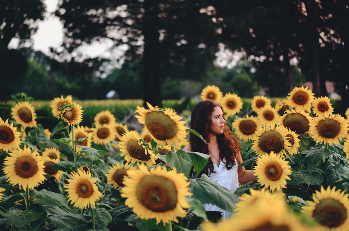 Woman standing in a field of yellow sunflowers