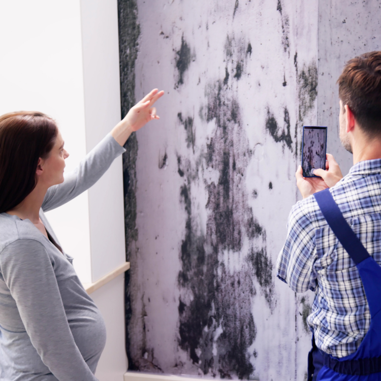 how to detox from mold functional medicine austin