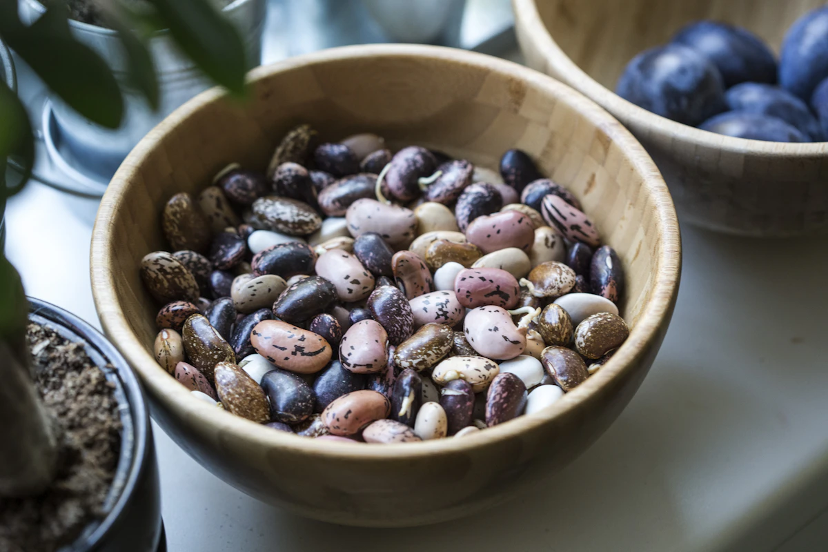 Bowl of mixed dried beans