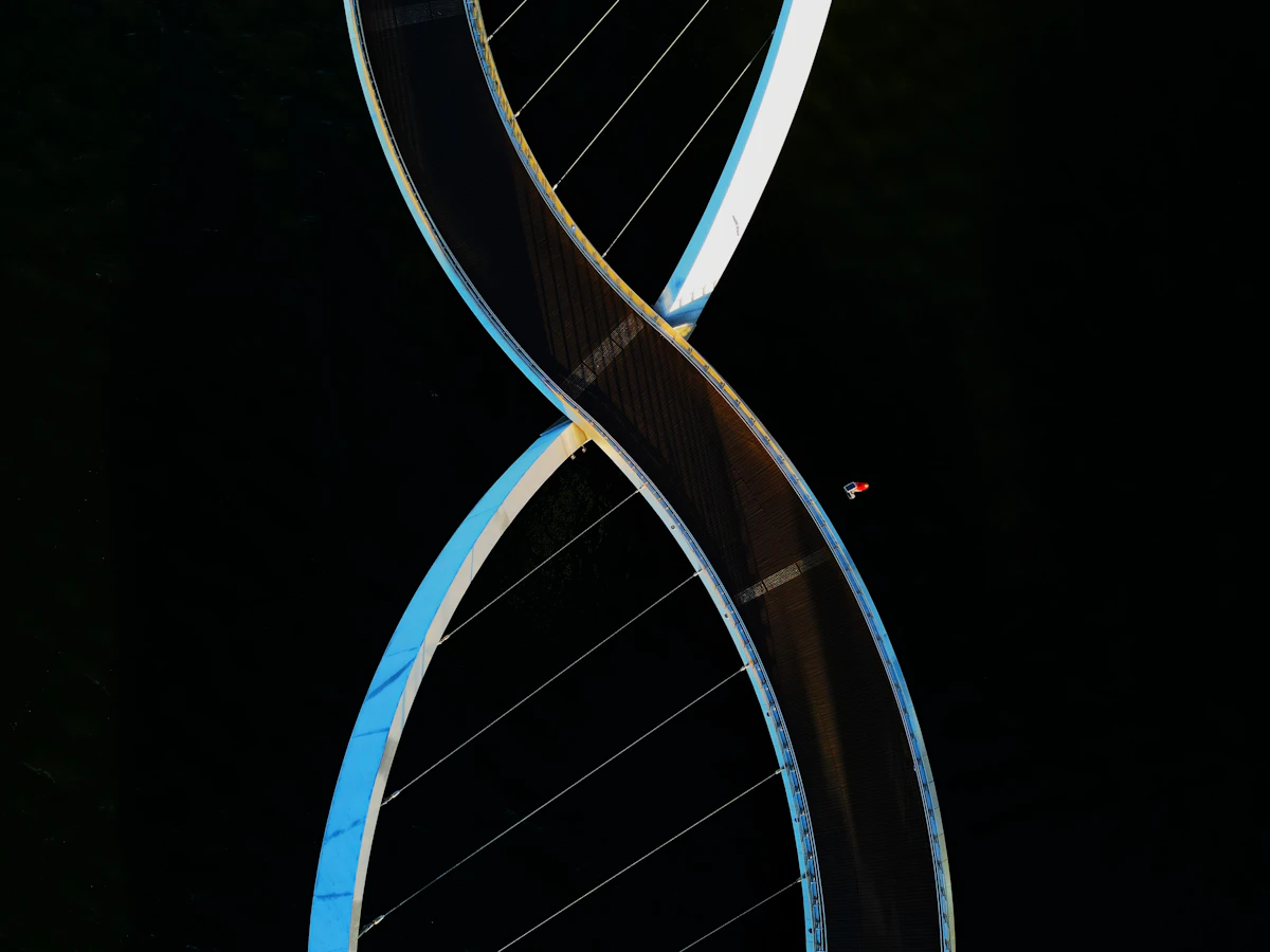 Illustration of a DNA double helix
